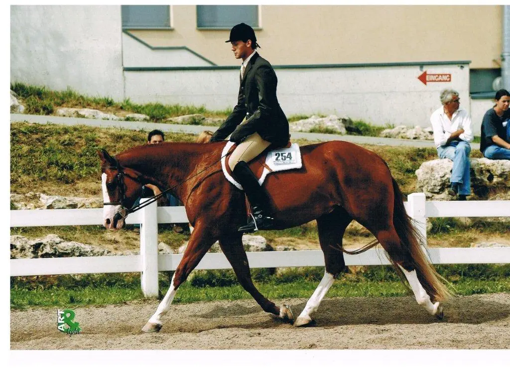 005-Kopie